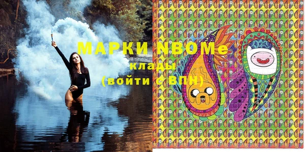 индика Магас