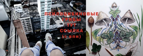 бошки Магадан