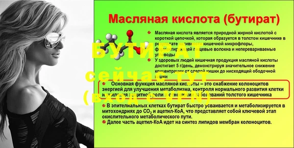 индика Магас