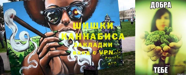 дмт Горно-Алтайск
