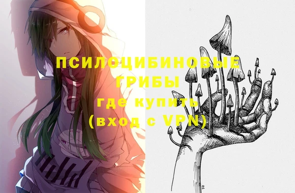 дмт Горно-Алтайск