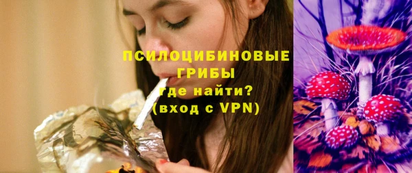 spice Горнозаводск