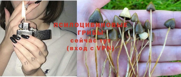 дмт Горно-Алтайск