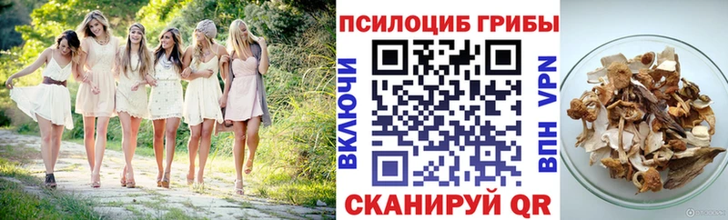 Галлюциногенные грибы прущие грибы  сколько стоит  Гуково 