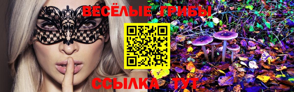 даркнет сайт  Псилоцибиновые грибы мицелий  Гуково  Вход с VPN  Галлюциногенные грибы Cubensis 