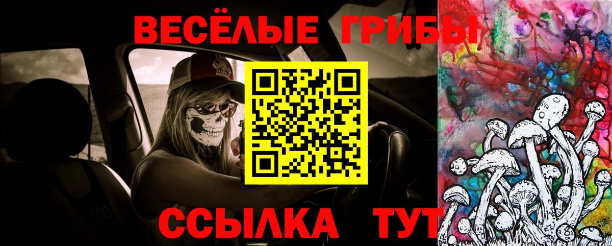 Псилоцибиновые грибы прущие грибы Гуково