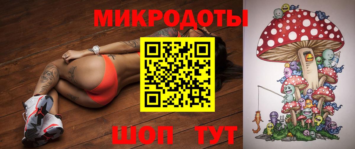 Псилоцибиновые грибы прущие грибы Гуково